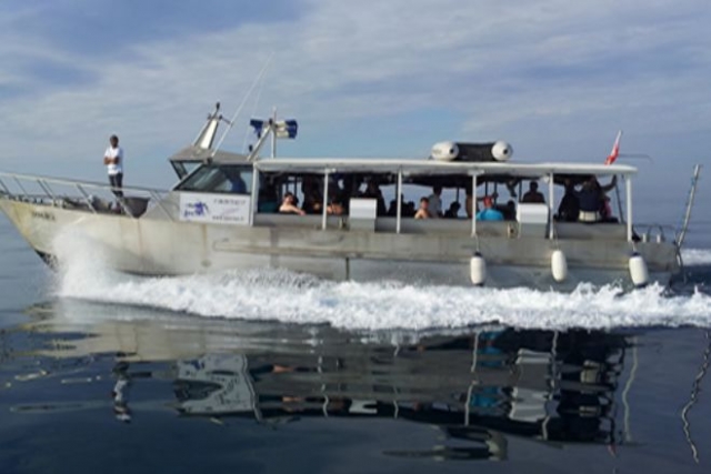  das Mittelboot 